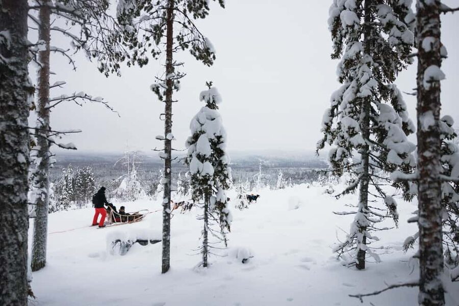 Rovaniemi: Arctic Circle Long Trail Husky Adventure - Practical details that can make or break the day