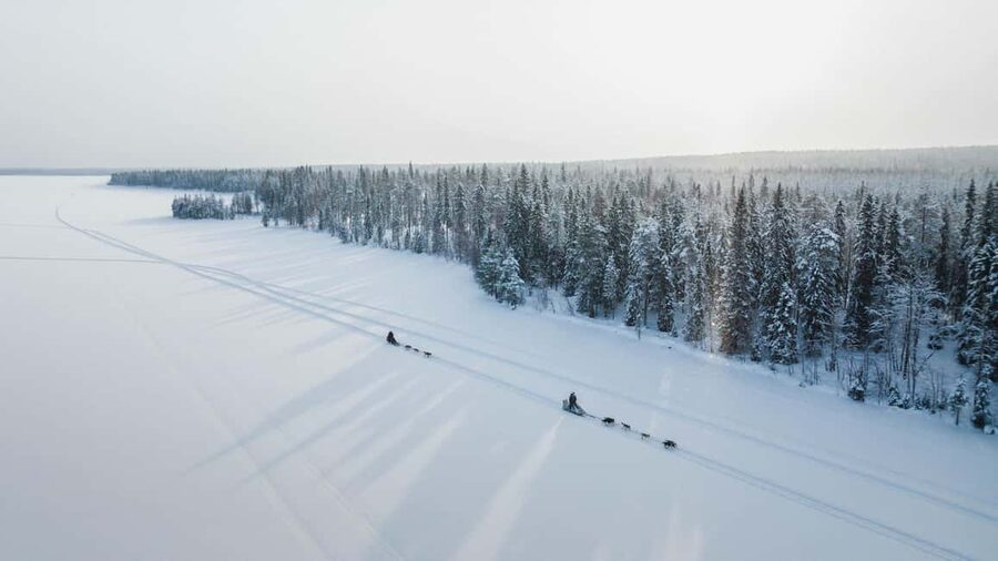 Rovaniemi: Arctic Circle Long Trail Husky Adventure - Learning to mush before the 7 km safari