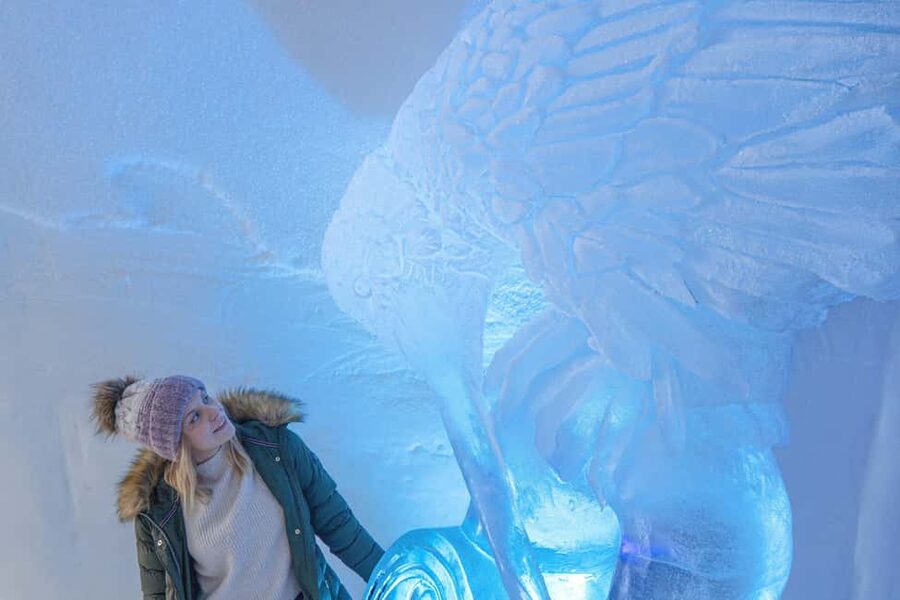 Rovaniemi: Arctic Snow Hotel Tour - The coach ride from Rovaniemi