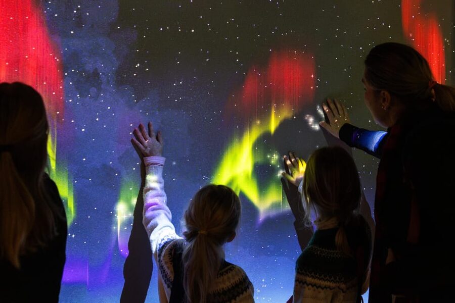 Rovaniemi: Arktikum Science Centre and Museum Entry Ticket - Arctic nature explained through exhibits and film