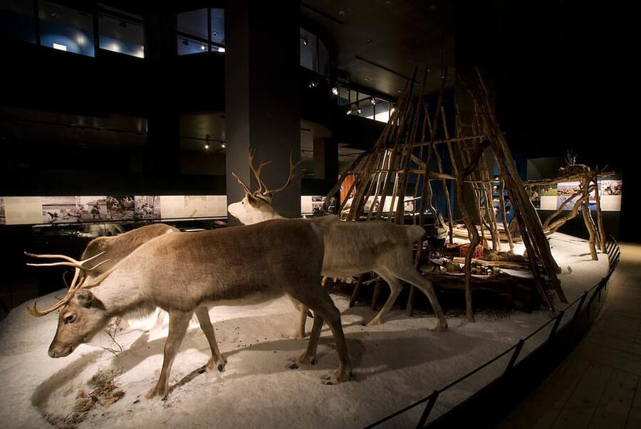Rovaniemi: Arktikum Science Centre and Museum Entry Ticket - Sámi culture gets a place in the wider Arctic story