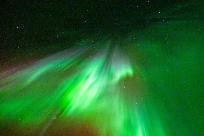 Rovaniemi: Aurora BBQ at the Best Spots - Two Rovaniemi viewing spots instead of one