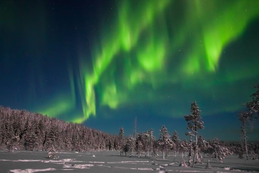 Rovaniemi: Aurora Borealis and Picnic - Food, warmth, and the practical cold-weather lesson