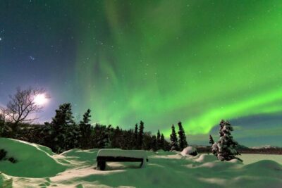 Aurora Borealis Snowmobile Safari with Campfire