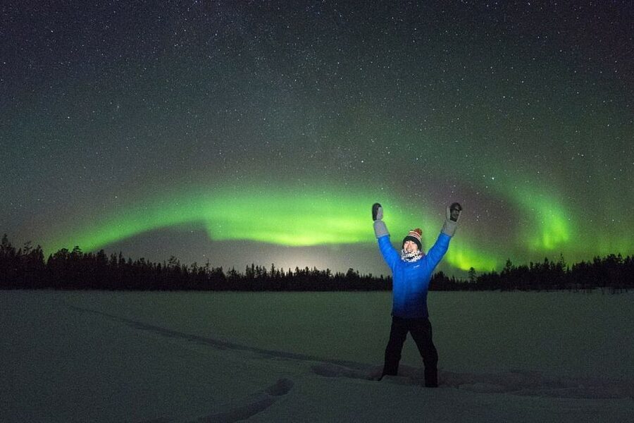 Rovaniemi: Aurora Borealis Tour - Key points at a glance