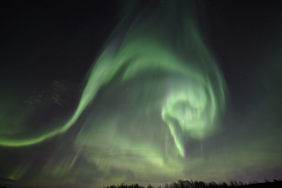 Rovaniemi: Aurora Borealis Tour - What the $135 price really covers