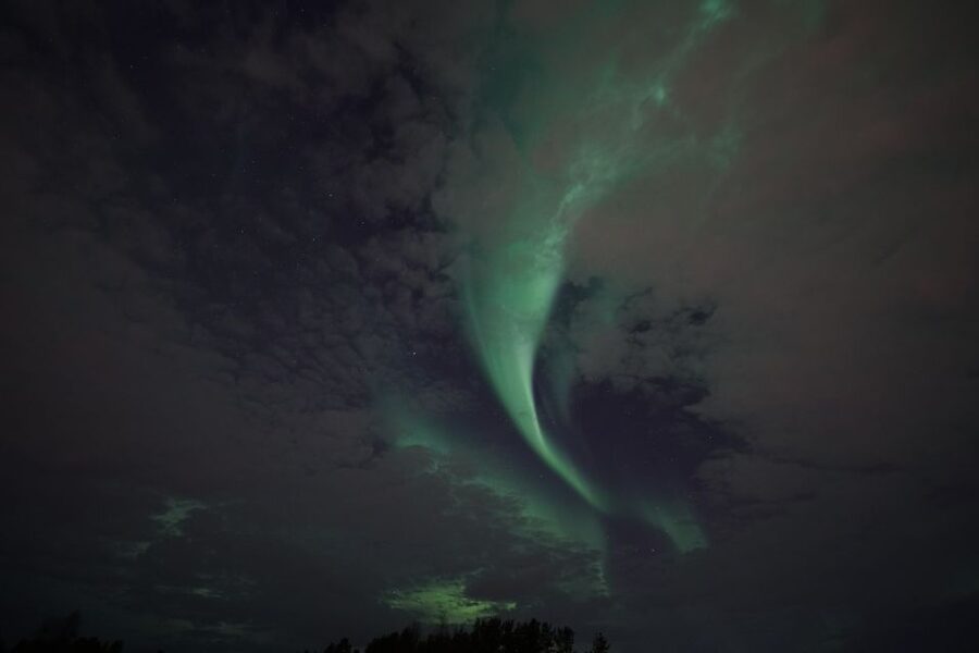 Rovaniemi: Aurora Borealis Tour - When to book this outing in your Rovaniemi plans