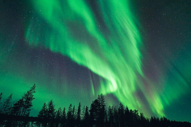 Rovaniemi: Aurora Hunt with Photograph & money back guarantee - What happens after the 6:00 pm pickup