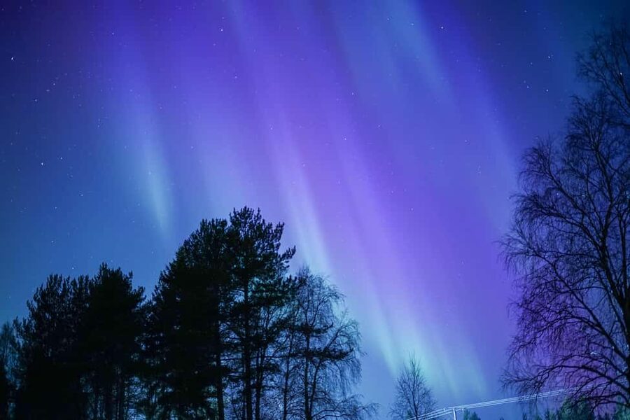 Rovaniemi: Aurora hunting and a fireside BBQ experience - What the three-hour itinerary feels like