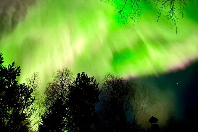 Rovaniemi: Aurora Hunting & Photography Tour - Camera help that can save your evening