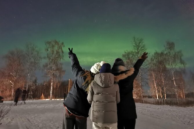 Rovaniemi: Aurora Hunting & Photography Tour - What the $200.01 price really covers
