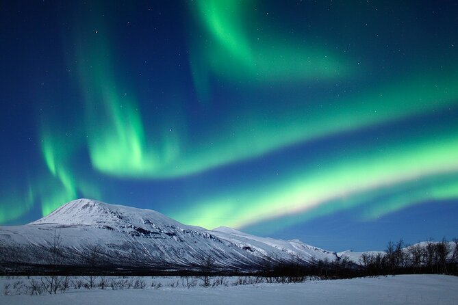 Rovaniemi Aurora Hunting Tour - Pickup from Rovaniemi and the road into darkness