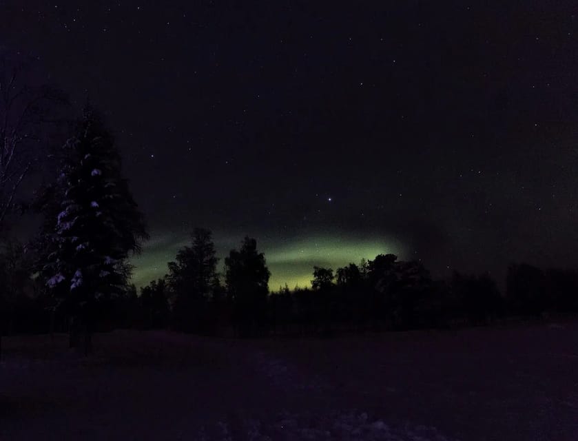 Rovaniemi: Aurora Hunting Tour in the Forest with Hot Drinks - Searching the Arctic sky after dark