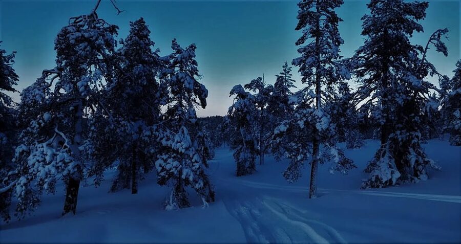 Rovaniemi: Aurora Hunting Tour in the Forest with Hot Drinks - The science behind the lights