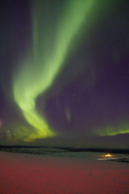 Rovaniemi: Aurora Hunting Tour with Photography by Van - Key points to know before you book
