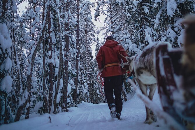 Rovaniemi: Authentic Lapland Reindeer Farm Visit & Sled Ride - The sled ride: traditional, scenic, and brief