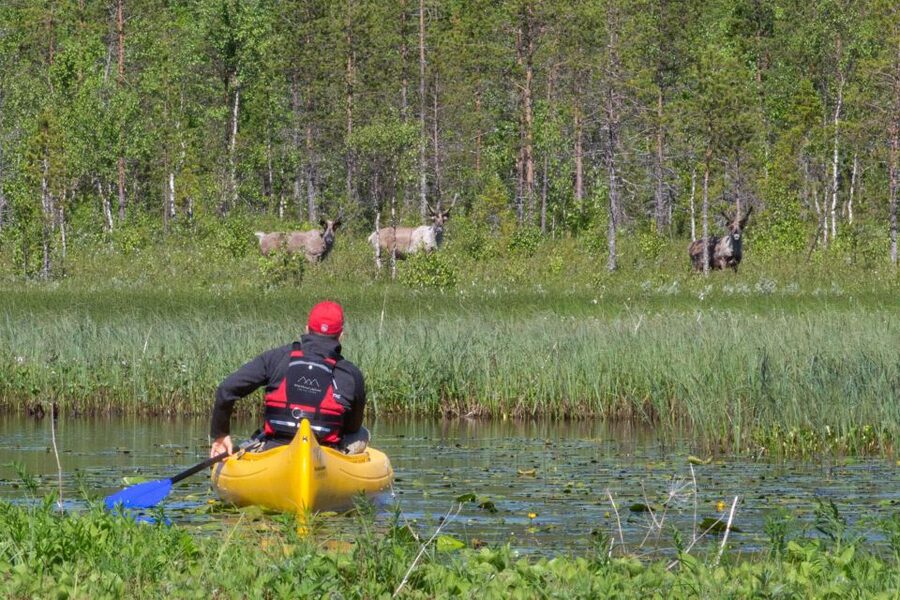 Rovaniemi: Authentic Reindeer Farm & Canoeing - Why this Rovaniemi outing feels more personal