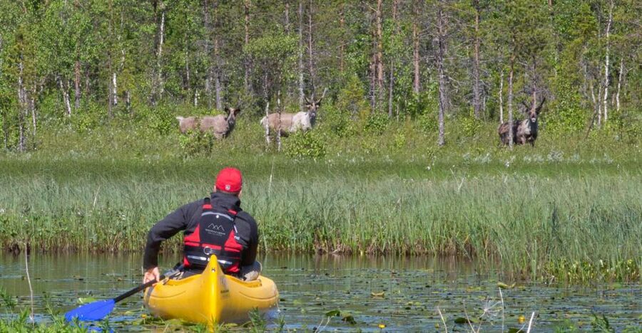 Rovaniemi: Authentic Reindeer Farm & Canoeing - Learning to canoe on a quiet lake
