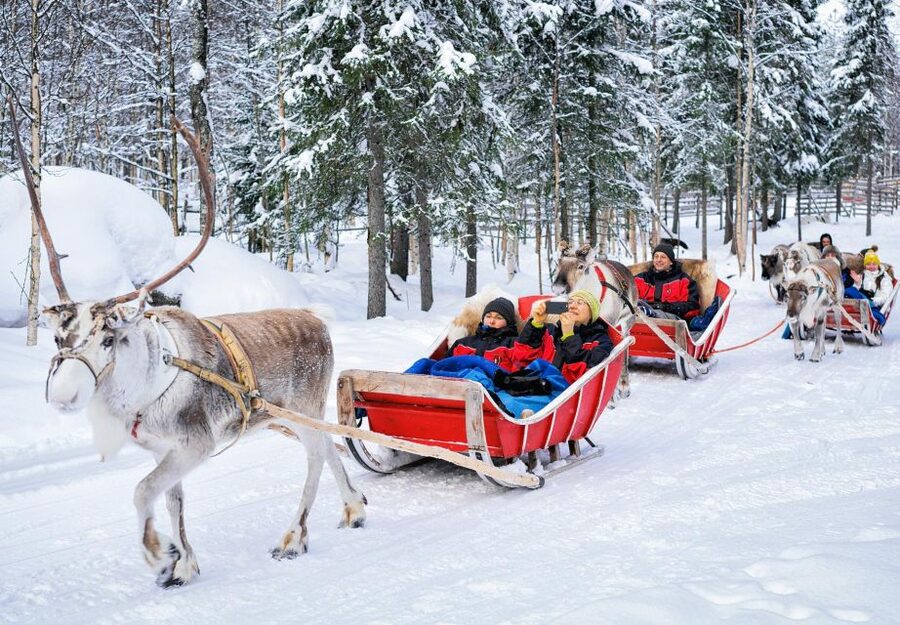 Rovaniemi: Authentic Reindeer Farm Visit & Short Sleigh Ride - Key points to know before you book
