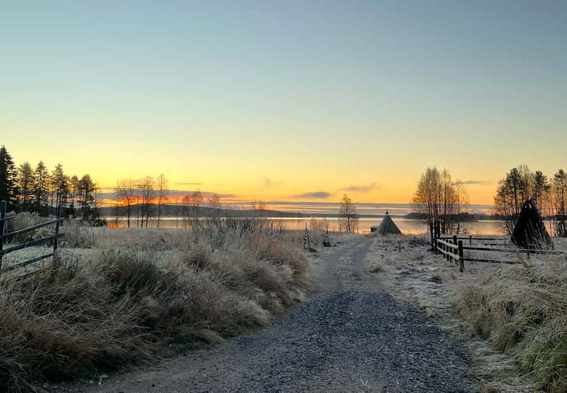 Rovaniemi: Autumn Husky Ride on Wheels - How the 3 km cart ride works