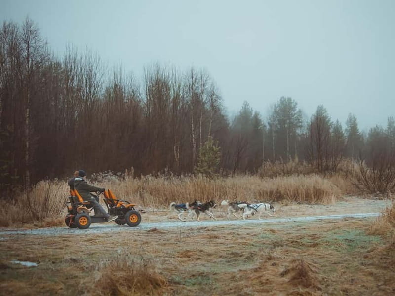 Rovaniemi: Autumn Husky Ride on Wheels - Transfers from Rovaniemi and Santa Claus Village