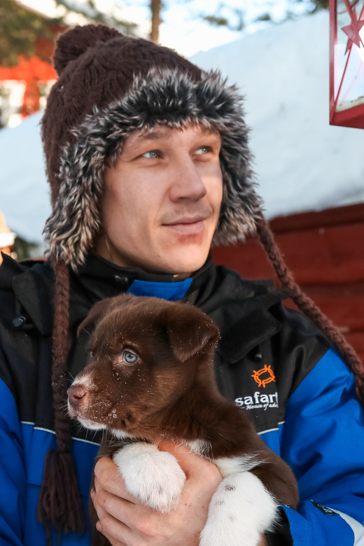 Rovaniemi: Daytime Husky Safari - Why This Husky Safari Feels More Hands-On