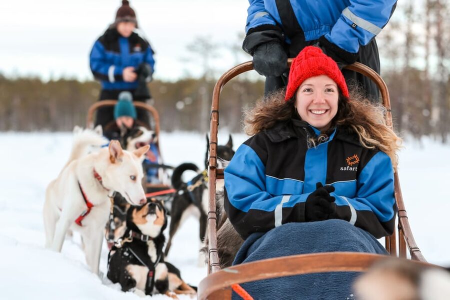 Rovaniemi: Daytime Husky Safari - Five Kilometers Through Forest and Across Ice