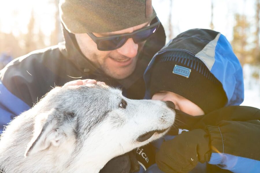Rovaniemi: Daytime Husky Safari - Hot Drinks, Biscuits, and Husky Stories