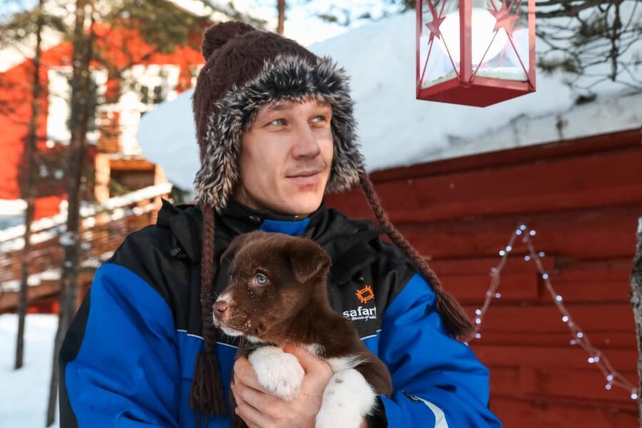 Rovaniemi: Daytime Husky Safari - From Reception to the Kennel