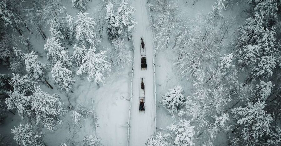 Rovaniemi: Daytime Reindeer Sleigh Ride - Getting the meeting time right in Rovaniemi