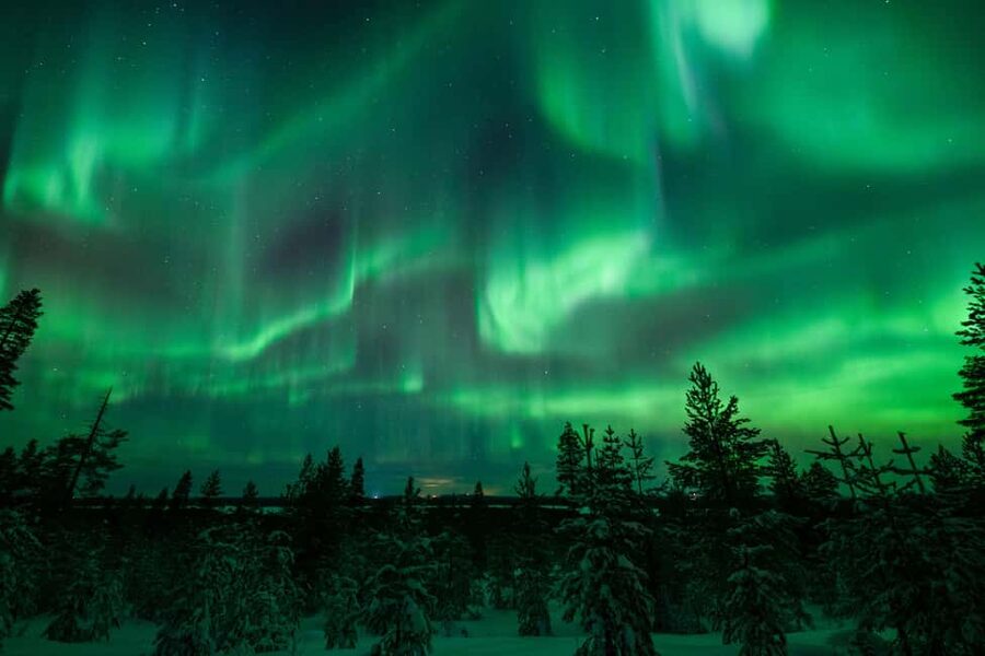 Rovaniemi: Discover the Northern Lights Photography Tour - How the chase works when clouds move in
