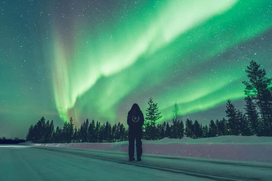 Rovaniemi: Discover the Northern Lights Photography Tour - Photography help for cameras and phones