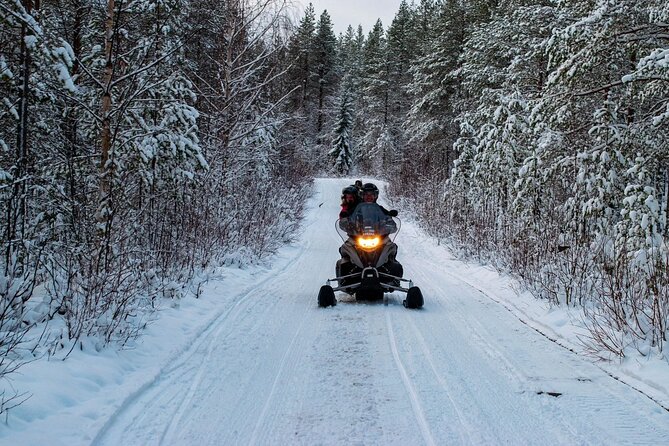 Rovaniemi: Drive New 2025 Snowmobiles on Arctic Safari & BBQ - A private-property ride near Rovaniemi