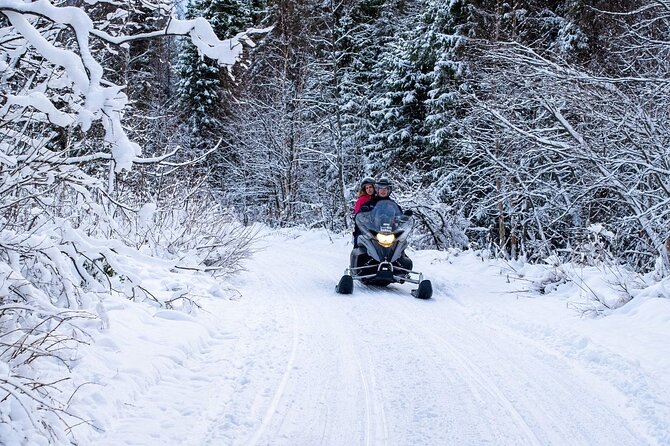 Rovaniemi: Drive New 2025 Snowmobiles on Arctic Safari & BBQ - Price and what the 136.77 dollars buys you