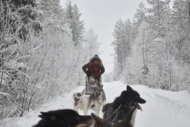 Rovaniemi: Drive Your Own Husky Team (6–10 km) & BBQ - Clothing, comfort, and cold-weather preparation