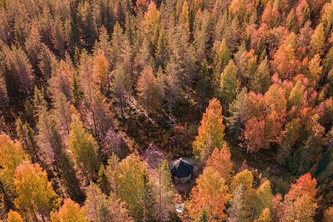 Rovaniemi: Drive Your Own Husky Team (Autumn) & BBQ - From Rovaniemi to a quieter farm