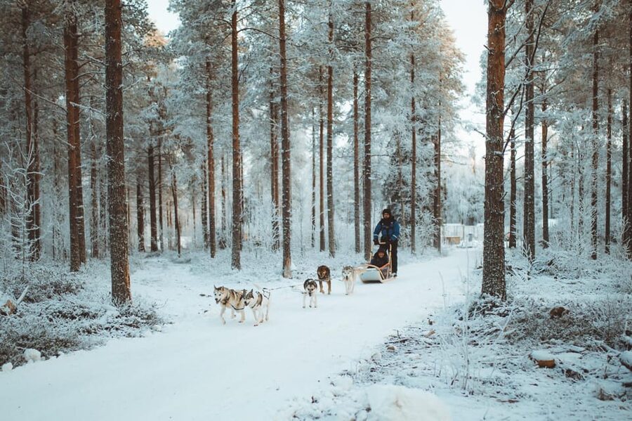 Rovaniemi: Early Winter Husky Sled Ride - Thermal Clothing and Staying Warm
