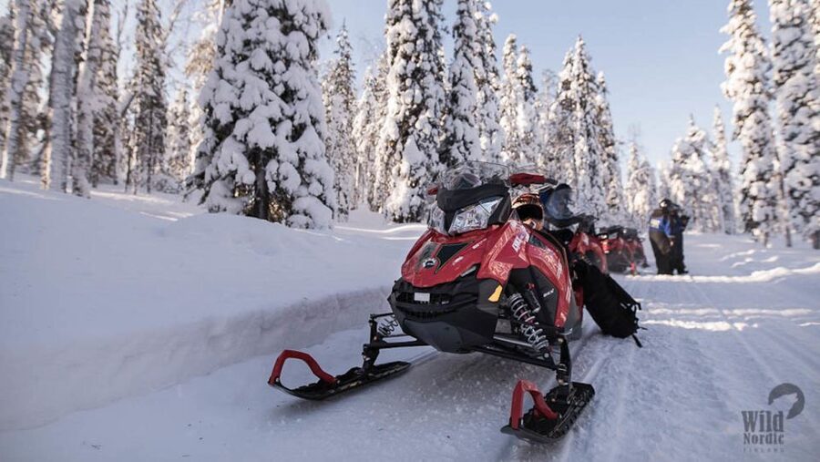 Rovaniemi: Easy Snowmobile Safari - At a glance