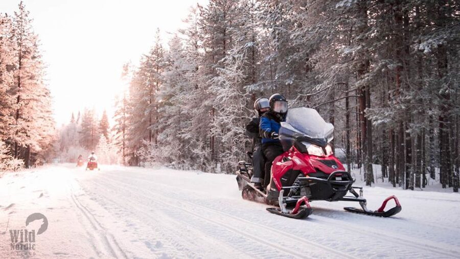 Rovaniemi: Easy Snowmobile Safari - Riding through the snowy forest