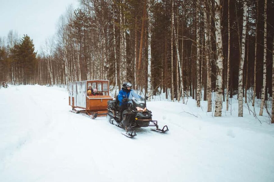 Rovaniemi: Family Snowmobiling Trip - Pine forests, frozen marshlands, and snowy trails