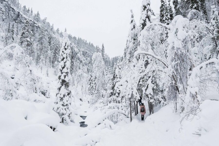 Rovaniemi: Frozen Waterfalls of Korouoma Canyon & Pro Photos - Three frozen waterfalls in one protected wilderness area
