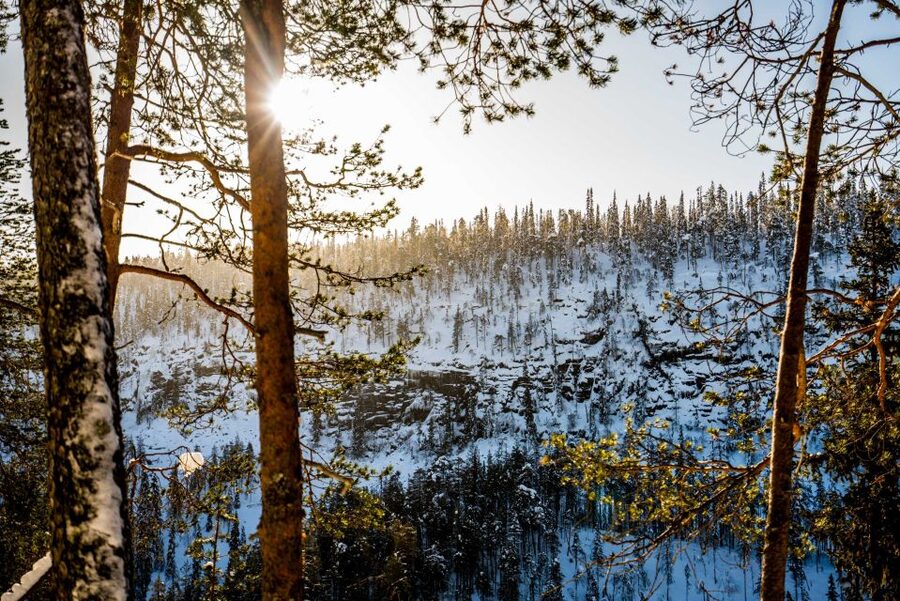 Rovaniemi: Frozen Waterfalls of Korouoma Canyon & Pro Photos - What $159 gets you