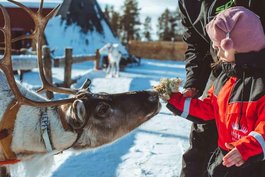 Rovaniemi: Full-Day Snow and Fun Activities - Getting to Apukka Resort