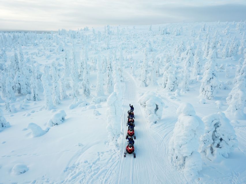 Rovaniemi: Full-Day Snowmobile Safari into the Wilderness - Forest tracks, frozen waterways, and open powder