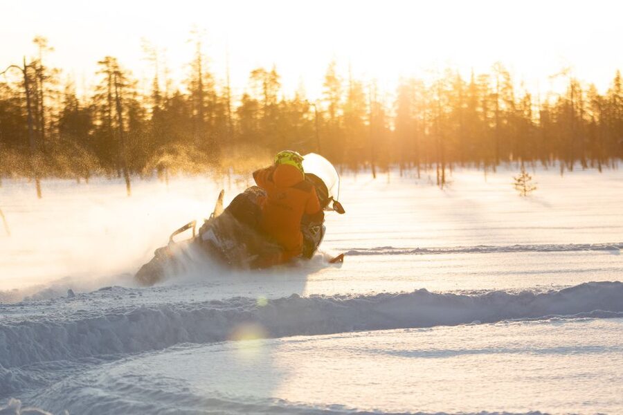 Rovaniemi: Full-Day Snowmobile Safari into the Wilderness - What the $293 price really buys