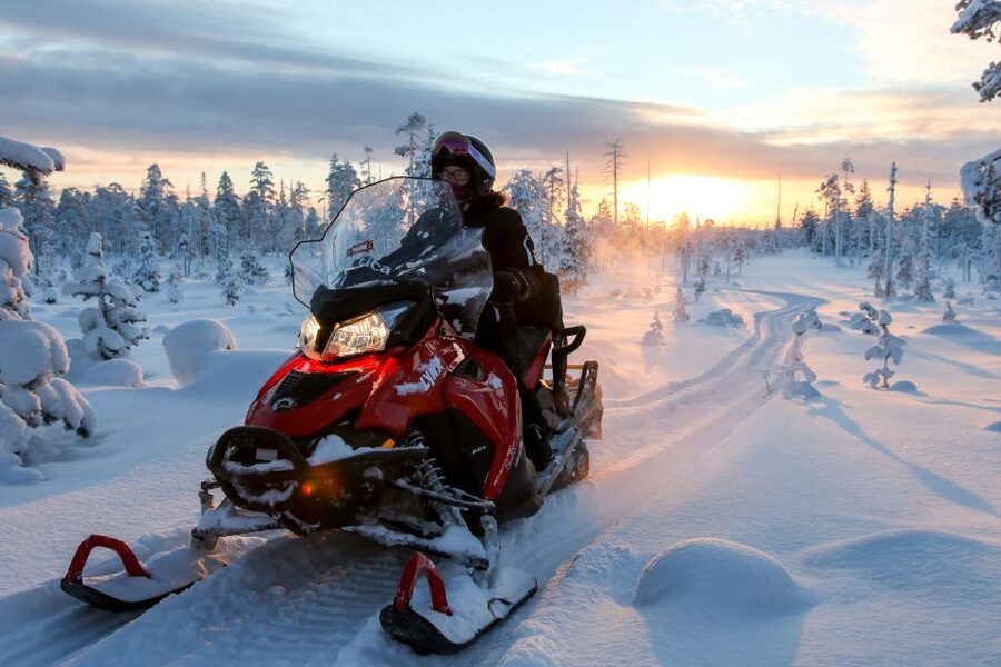 Rovaniemi: Full-Day Snowmobile Safari into the Wilderness - Who should book this safari?