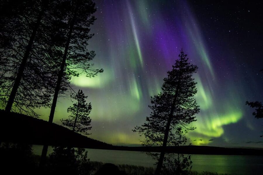 Rovaniemi: Guaranteed Aurora Hunting Tour with Local Guide - Photography help, charging, and WiFi