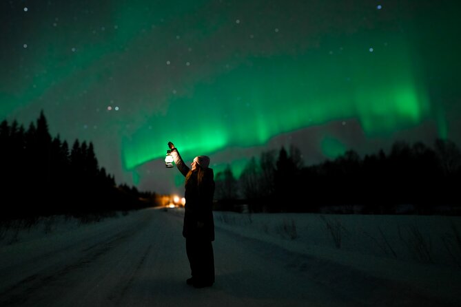 Rovaniemi: Guaranteed Northern Lights - Small Group & Photography - A Rovaniemi aurora tour built around the forecast