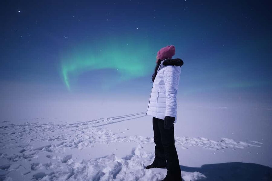 Rovaniemi: Guaranteed Northern Lights Tour with Photos - The long-drive tradeoff