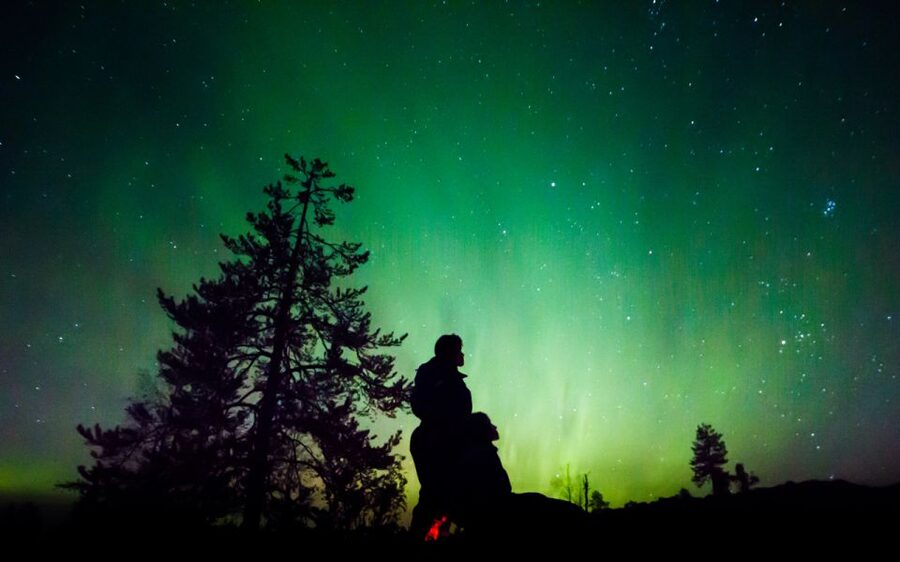 Rovaniemi: Guided Northern Lights Tour - Key points at a glance